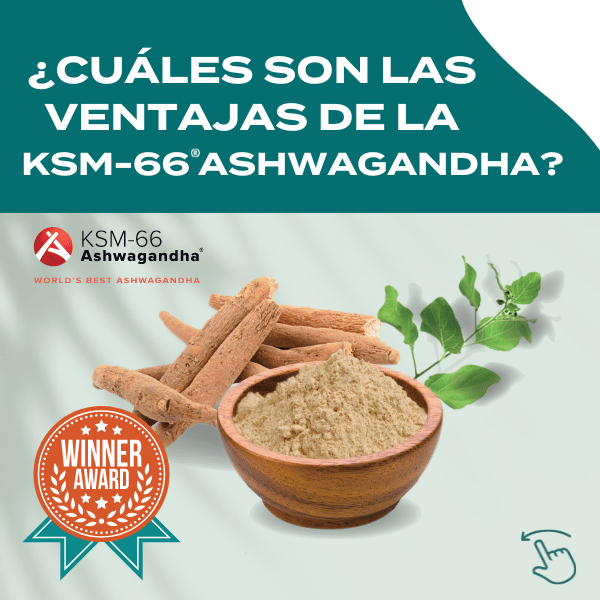 Ventajas de la KSM-66 Ashwagandha de Naturecan